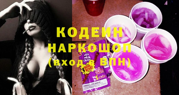 скорость Вяземский