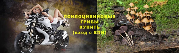 прущая мука Горно-Алтайск