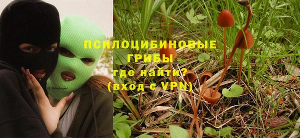 mix Горняк